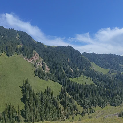 独库公路骑行攻略