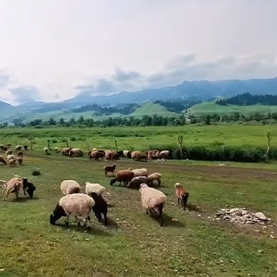 独库公路骑行攻略