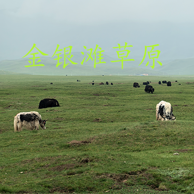 2025环青海湖等你来挑战